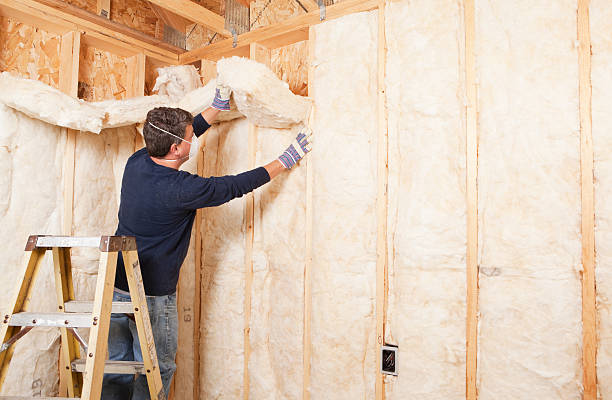 Types of Insulation We Offer in Branchville, SC